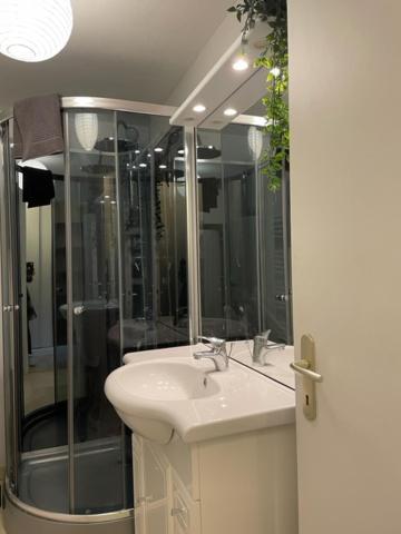 Appartement Cosy Hyper Centre Châteauroux Eksteriør bilde